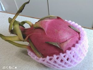 ドラゴンフルーツの種まきをして発芽に挑戦してみました その発芽率は驚異的でした ぷくもこ 植物と暮らしの豆知識 ドラゴンフルーツの種まきをして発芽に挑戦してみました その発芽率は驚異的でした ぷくもこ 植物と暮らしの豆知識